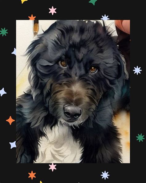 BILL WALSH HONDA - Ottawa IL - Hours, Directions, Reviews - Loc8NearMe