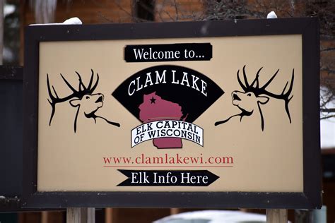 Wisconsin wants to grow its elk population. So why does the state have ...