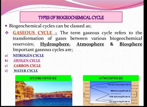 what are the advantages of biochemical cycle - Brainly.in