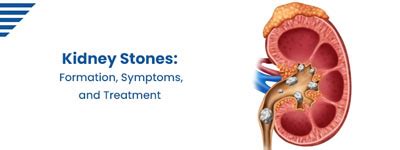 Nephrology: Expert Insights on Kidney Health