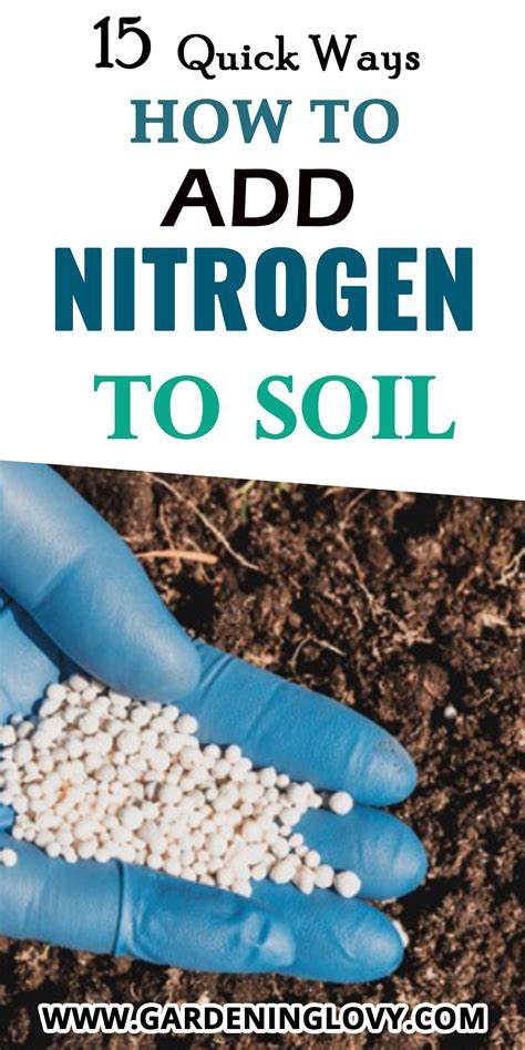 diy nitrogen fertilizer