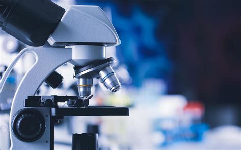 Image result for Microscope Slide Techniques