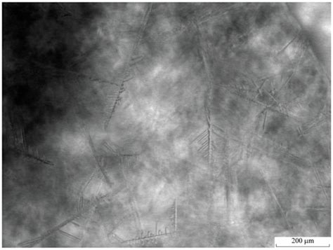 An Optical Microscope Study of the Morphology of Xenon Hydrate Crystals ...