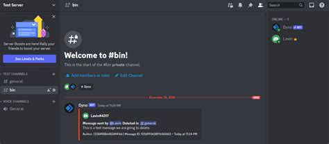 How To See Deleted Messages On Discord Plugin [ Solved],