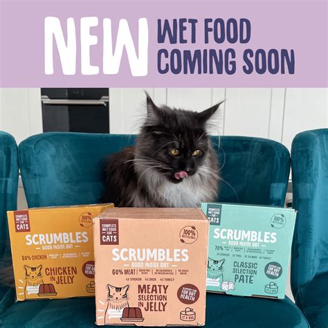 Can Humans Eat Cat Food? | Meow or Never