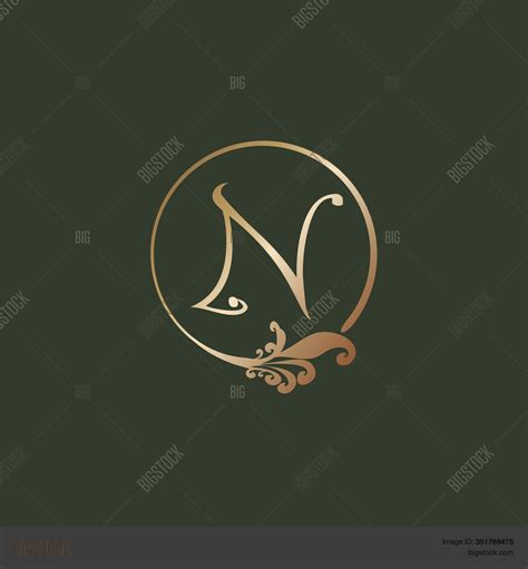 Decorative Letter N