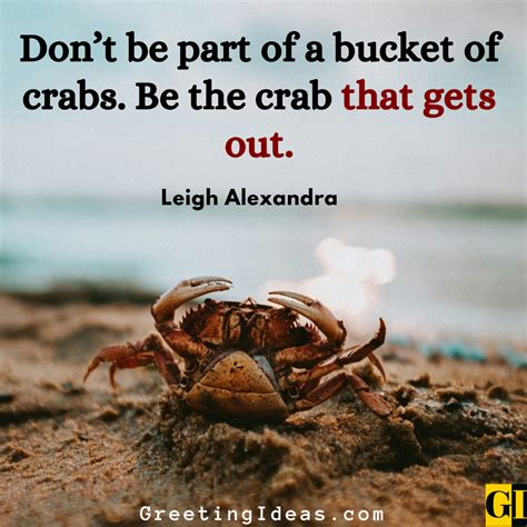 30 Best Crab Quotes Sayings To Beat The Lame Mentality