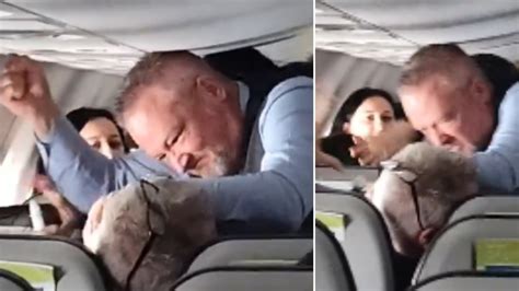 Video: Alaska Airlines flight attendant punches elderly man who grabbed ...