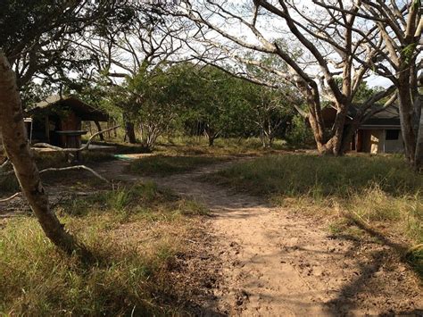 ONOTHWENI LODGE (Tembe Elephant Park) - Lodging Reviews & Photos ...