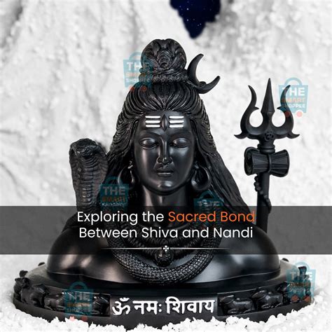 Namami Shamishan Nirvan Roopam: Meaning, Origin, and Significance – The ...