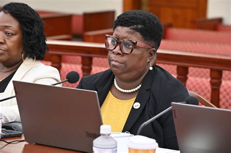 Senators Hear How Human Services is Serving the Territory | St. Croix ...