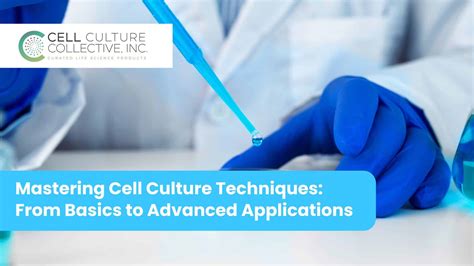 Mastering Cell Culture Techniques: From Basics to Advanced Applications ...