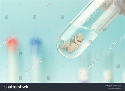 Human Artificial Insemination