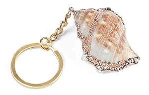 The Paragon Real Sea Shell Key Chain - Genuine Unique Ocean Seashell ...