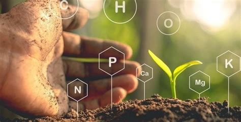 soil technology of texas