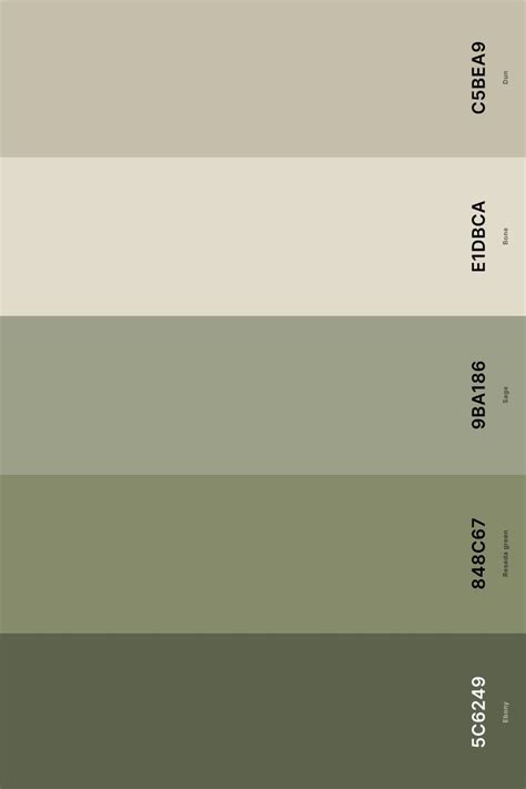 Sage green color palette – Artofit