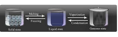 Solids, Liquids and Gases - 2 Class 4 Worksheet Science