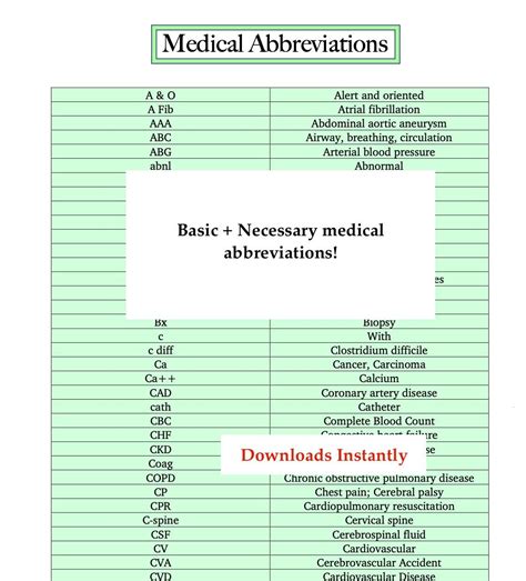 Medical Terminology, Abbreviation Chart (4 Pages) - Etsy