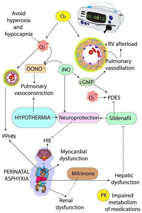 Meconium Aspiration Syndrome, Hypoxic-Ischemic Encephalopathy and ...