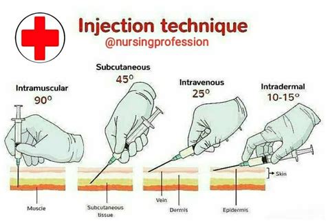 Muscle Injection 的图像结果