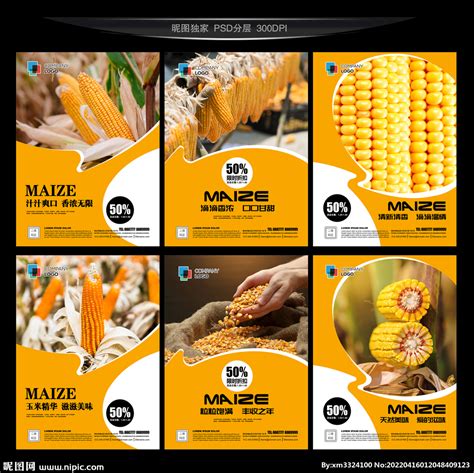 玉米种子宣传单设计图__海报设计_广告设计_设计图库_昵图网nipic.com