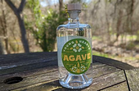 Agave Plant Tequila Bottle