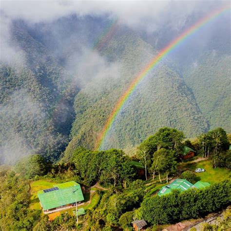 WAYQECHA CLOUD FOREST BIRDING LODGE (Paucartambo) - Lodge Reviews ...