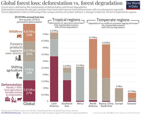 Causes Of Deforestation Graph