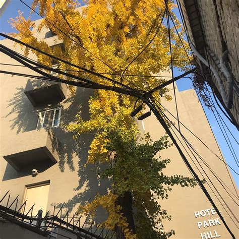 HOTEL PARK HILL MYEONGDONG (Seoul) - Hotel Reviews, Photos, Rate ...