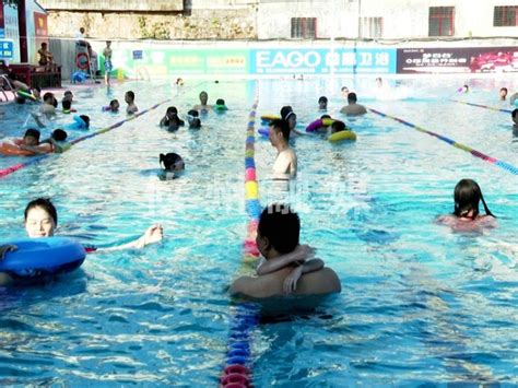 我校2023年湛江校区教工游泳比赛圆满结束-新闻网