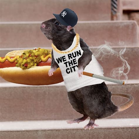 Nyc Rat Memes Pizza Rat Sticker | NYC Pizza Rat Sticker | Pizza Rat