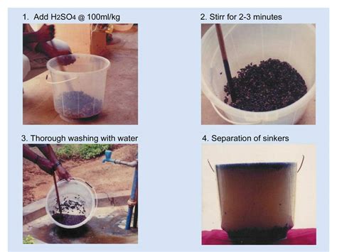 Season and Varieties :: Cotton