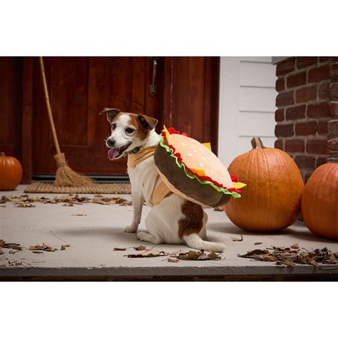 Witch Crafters Burger Dog Costume - Save 57%