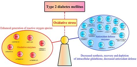 Is Diabetes Mellitus Genetic
