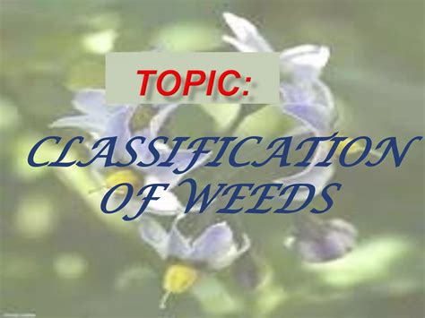 Classification of weeds. | PPTX