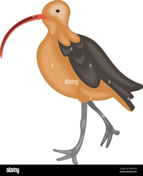 ibis species of bird Stock Vector Image & Art - Alamy