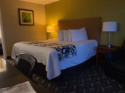 WINGFIELD INN (Mayfield) - Hotel Reviews, Photos, Rate Comparison ...