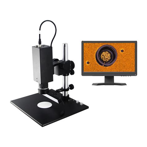 Vector Model Xfp36 Microscope Video 的图像结果