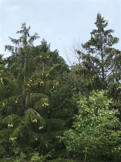 Cliffside Park Campground | Caledonia, WI