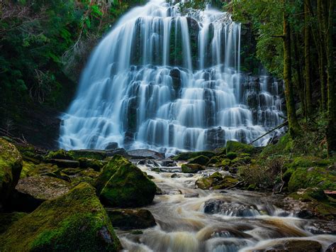 Mistic - Mitchell Burns Gallery – mitchell burns