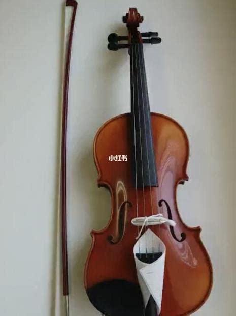 日本铃木制小提琴的价钱