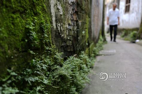 温州老街小巷印象系列二－历史与现代并存之仓桥街_温州老街 仓桥街_地理温州_温州网