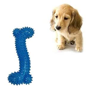 Buy PSK PET MART Natural Rubber Bone Shape Chew Toy for Dog/Puppy/Cat ...