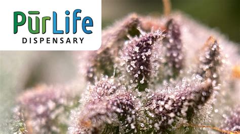 PurLife - Las Cruces | Las Cruces, NM Dispensary | Leafly