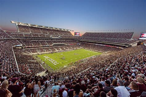 The Texas A&M Gastrointestinal Lab is a global center for diagnostics ...