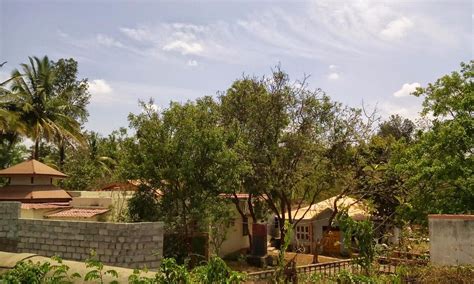 GURUVAYUR TEMPLE (2025) All You Need to Know BEFORE You Go (with Photos ...