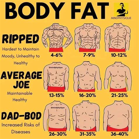 Body fat percentage then what is it – Artofit