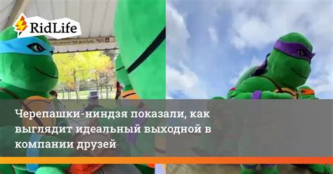 Черепашки-ниндзя показали, как выглядит идеальный выходной в компании ...