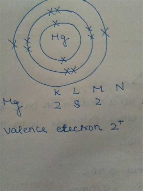 show diagrammatically the electron distribution in magnesium atom and ...
