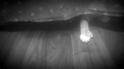 Image result for Using B WND Filter